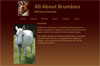 All About Brumbies